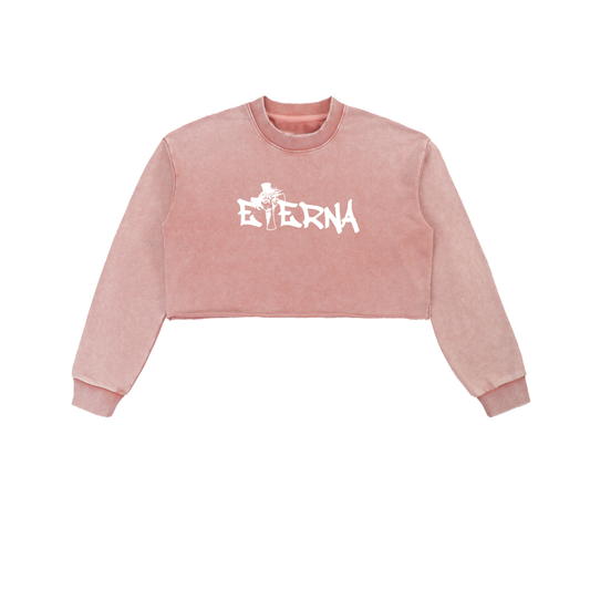 Snow Washed Raw Edge Cropped Sweatshirt